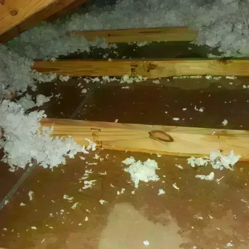 Attic Water Damage in Parker City, IN