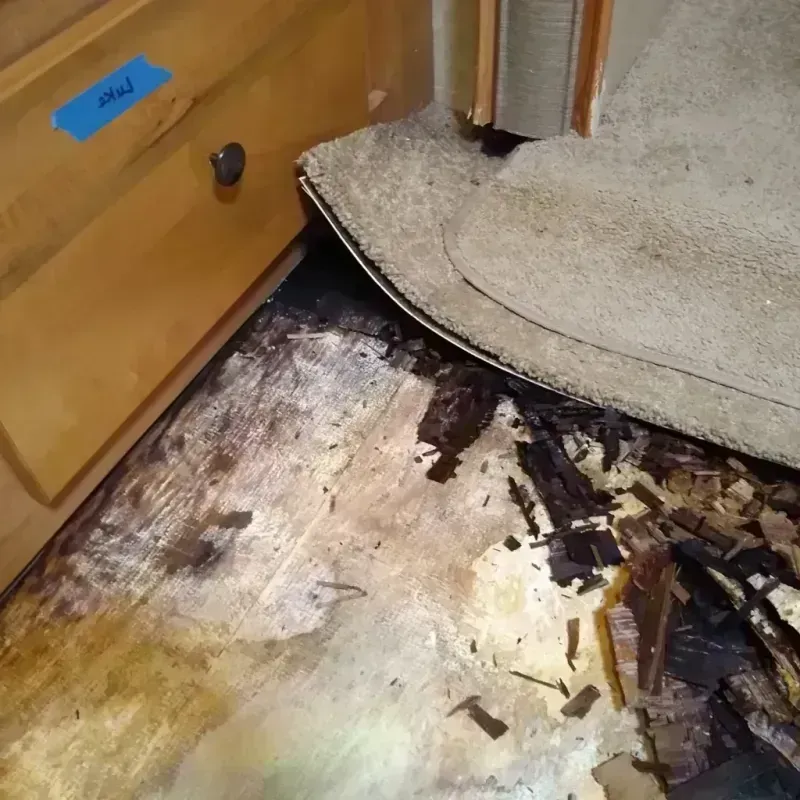 Wood Floor Water Damage in Parker City, IN